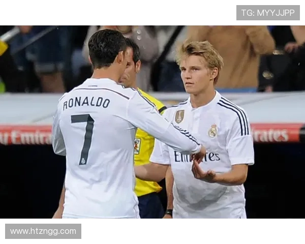 帕利尼亚巅峰期联赛冠军主力角色解析